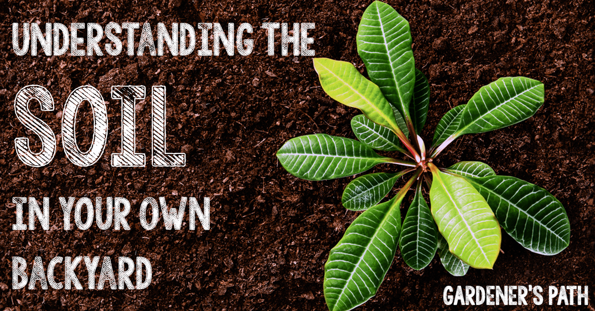 The Soil in Your Own Backyard Gardener's Path