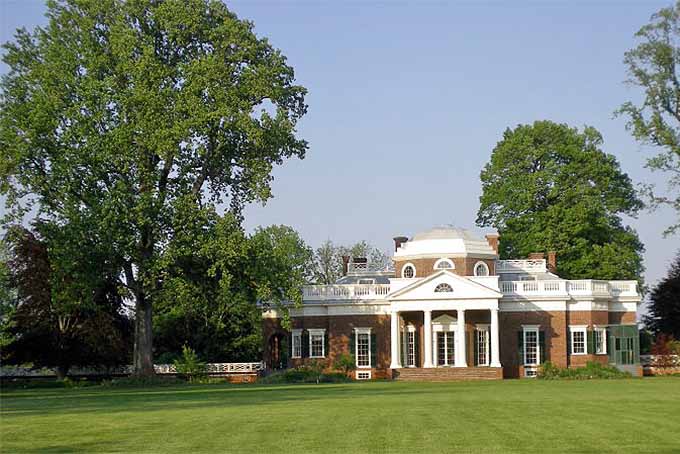 Tulip poplar | GardenersPath.com