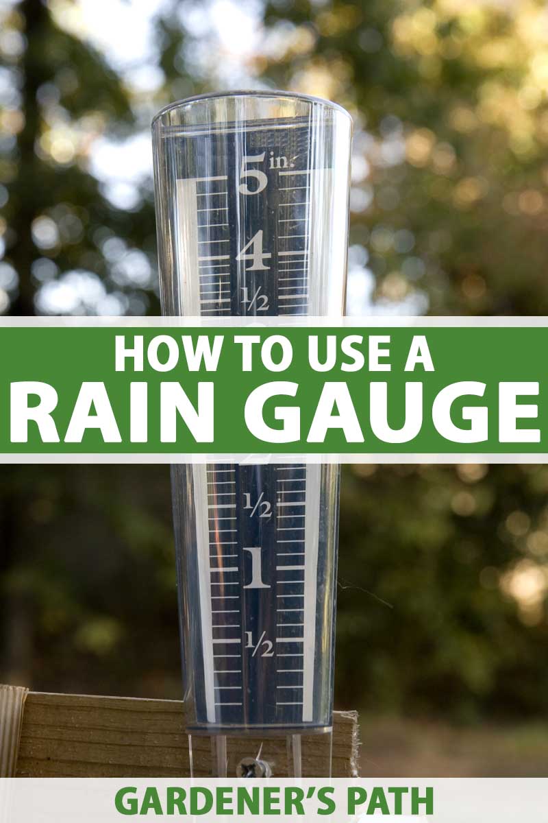 How to Use a Rain Gauge to Monitor Irrigation Needs
