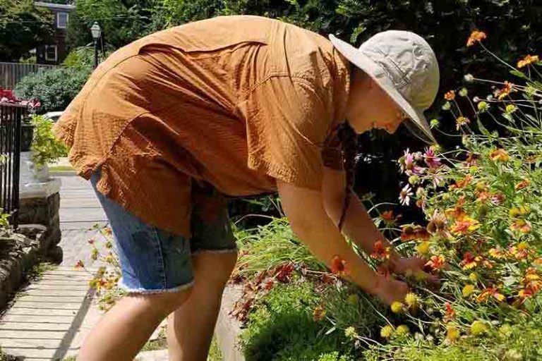 Sun Protection A Gardening Survival Guide Gardener’s Path