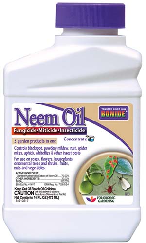A close up of the packaging of a neem oil insecticide on a white background.