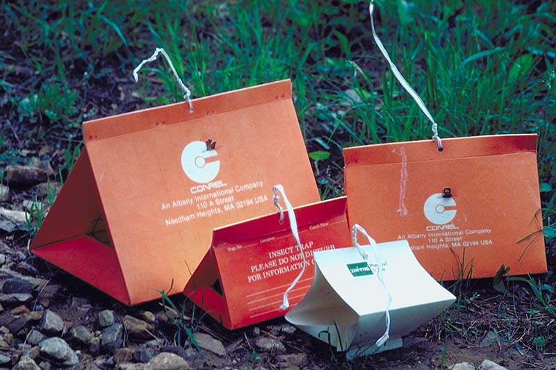 A close up of a selection of different insect traps to use with lures as part of an integrated pest management strategy.