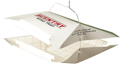 A close up of a Scentry Wing Trap for luring insects as part of a management strategy.