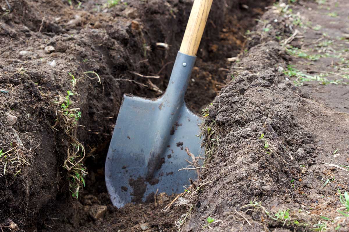 A close up of a spade digging a large trench in the earth ready for planting.