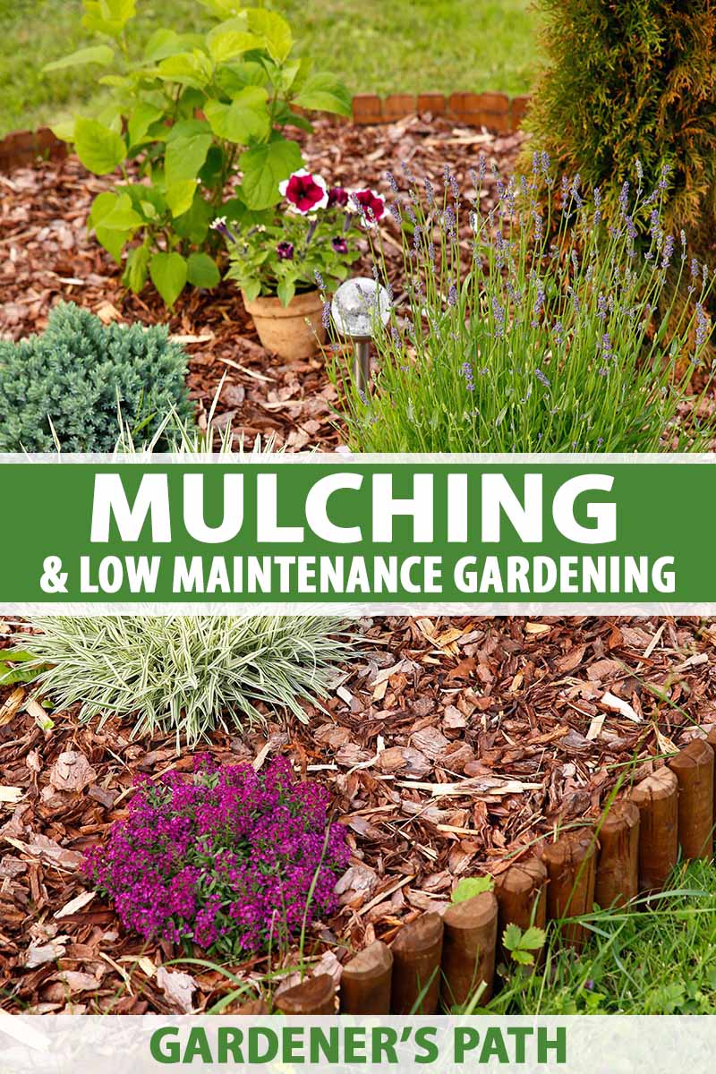A vertical image, showing a flower bed with a wood surround, containing green and flowering plants and wood bark mulch, in light sunshine. Green and white text in the center and at the bottom of the image.