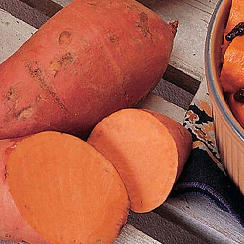 A close up of a sweet potato &lsquo;Georgia Jet&rsquo; set on a wooden surface.
