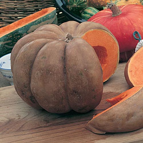 A close up of a large &lsquo;Musquee de Provence&rsquo; pumpkin with slices cut out of it, showing bright orange flesh and light brown skin, set on a wooden surface.