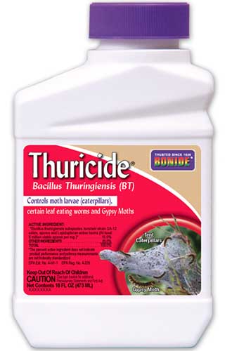 A close up of Bonide Thuricide Bacillus thuringiensis on a white background.