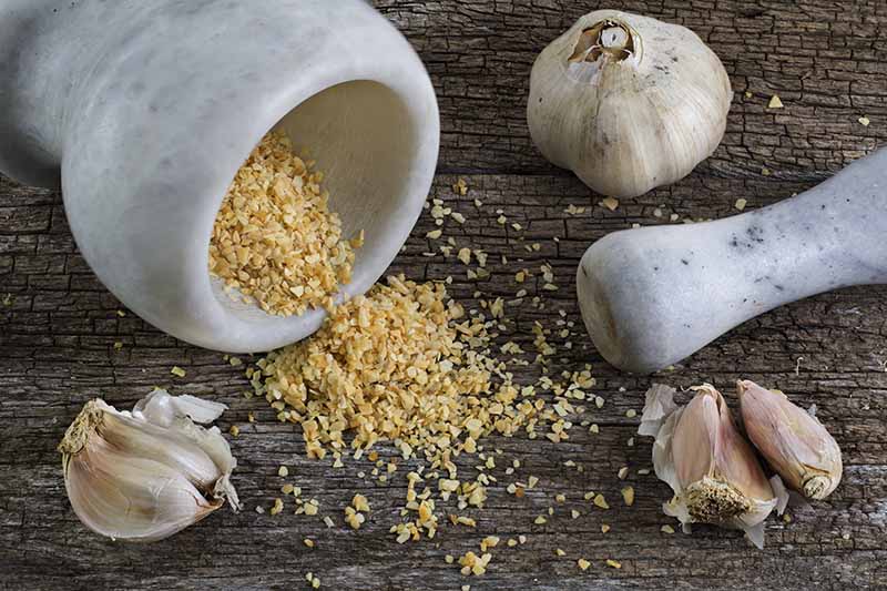 A close up horizontal image of a pestle and mortar with flakes spilling out onto a wooden surface.