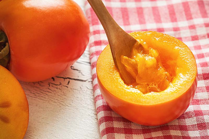 A close up horizontal image of a persimmon cut in half with a wooden spoon in the flesh, set on a red and white checked fabric.