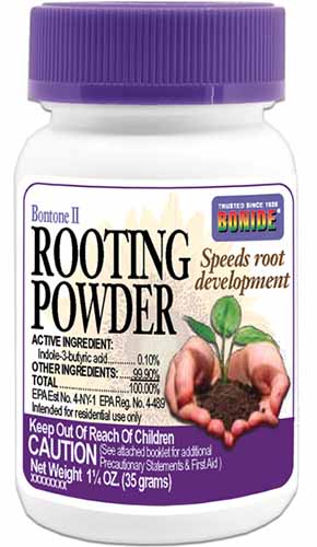 A close up vertical image of a small plastic pot of Bontone II Rooting Powder pictured on a white background.