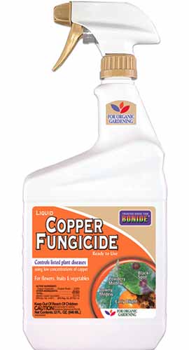 A close up vertical image of a ready to spray bottle of Bonide Copper Fungicide pictured on a white background.