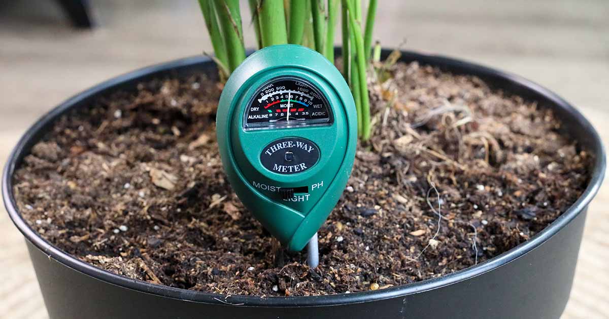 How to Use a Soil Moisture Meter Gardener’s Path