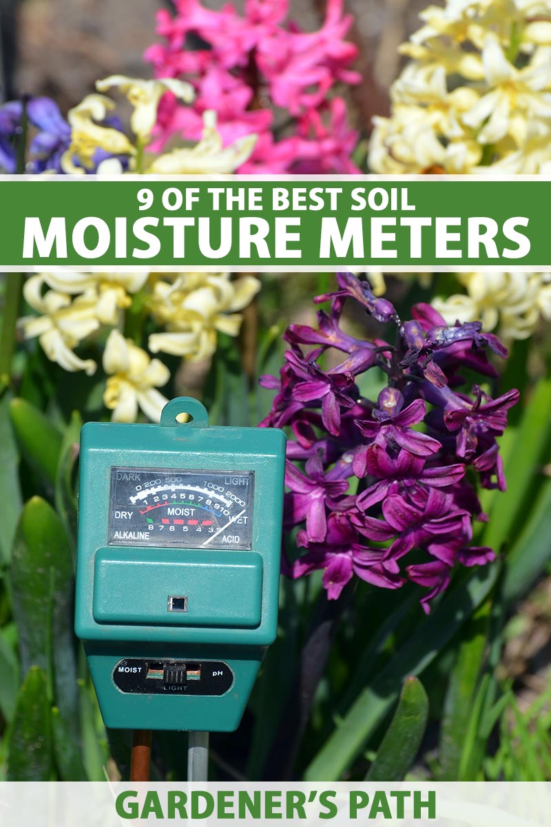 A close up vertical image of a soil moisture meter with hyacinth flowers in the background pictured in bright sunshine. To the top and bottom of the frame is green and white printed text.