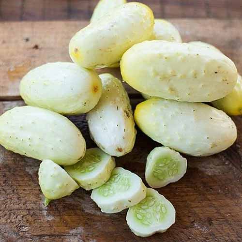 A close up square image of whole and sliced &lsquo;Miniature White&rsquo; cucumbers set on a wooden surface.