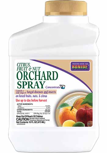 A close up square image of a plastic bottle of Bonide Citrus Fruit and Nut Orchard Spray isolated on a white background.