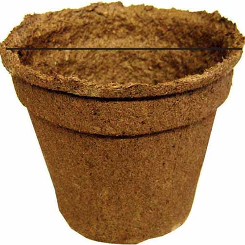 A close up square image of a biodegradable pot isolated on a white background.