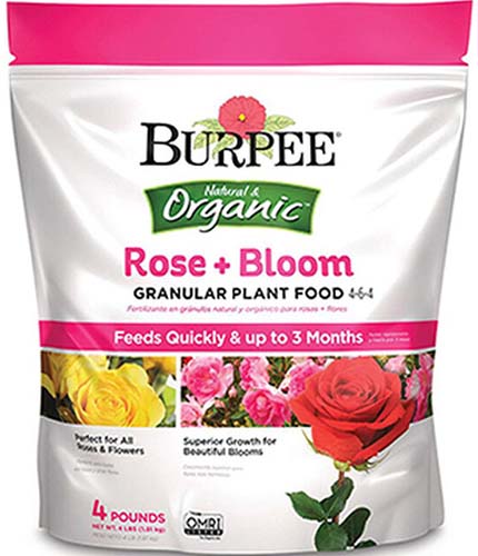 A close up square image of the packaging of Burpee Rose and Bloom Granular Plant Food isolated on a white background.
