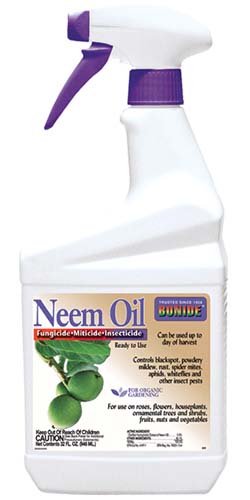 A close up vertical image of a bottle of ready to spray Bonide Neem Oil isolated on a white background.