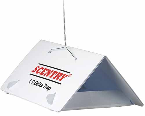 A close up horizontal image of a Scentry Pheromone Lure trap isolated on a white background.
