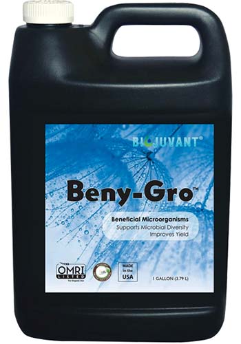 A close up square image of a bottle of BiJuvant Beny-Gro Beneficial Microorganisms isolated on a white background.