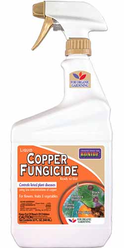 A close up vertical image of a bottle of Bonide Copper Fungicide isolated on a white background.