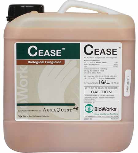 A close up square image of a bottle of CEASE Biological Fungicide isolated on a white background.
