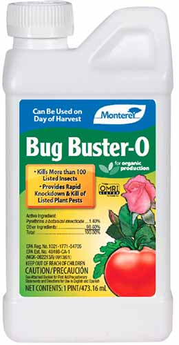 A close up vertical image of a bottle of Monterey Bug Buster-O isolated on a white background.