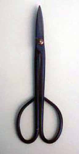 A close up vertical image of a pair of satsuki pruning shears on a white background.