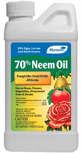 A close up vertical image of a plastic bottle of Neem Oil Concentrate isolated on a white background.