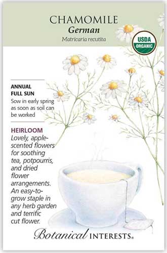 A close up vertical image of a packet of German chamomile seeds with text to the left of the frame and a hand-drawn illustration on the right.