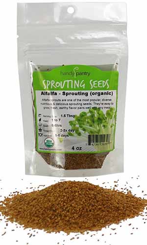 A close up vertical image of a package of organic alfalfa sprouting seeds isolated on a white background.