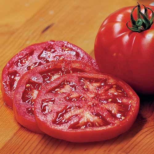 How to Plant and Grow Beefsteak Tomatoes Gardener's Path