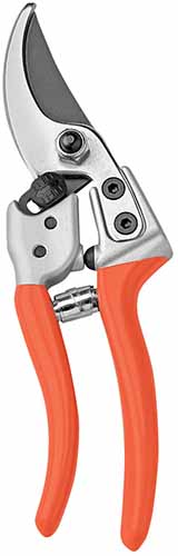 A close up of a pair of pruning shears isolated on a white background.