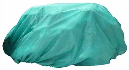 A close up of winter garden wrap applied to a shrub isolated on a white background.