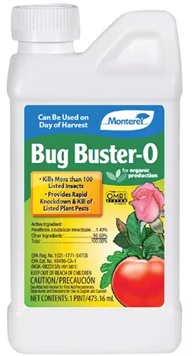 A close up of a bottle of Bug Buster-O isolated on a white background.