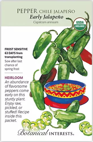 A close up of a seed packet of &lsquo;Early Jalapeno&rsquo; hot peppers with text to the left of the frame and a hand-drawn illustration to the right.