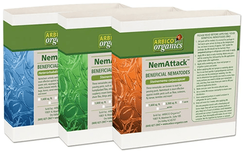 A close up of the packaging of three different types of beneficial nematodes isolated on a white background.