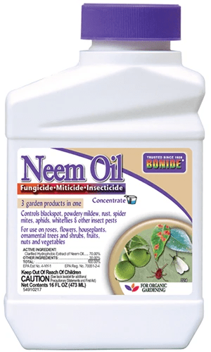 A close up of a bottle of Bonide Neem Oil isolated on a white background.