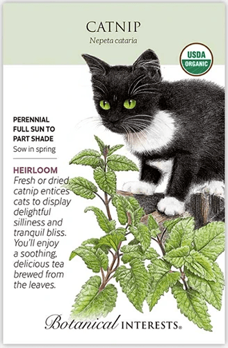 A seed packet with a picture of a cat on the right, looking at the catnip growing in the garden, and descriptive text to the left.