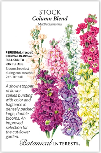 A close up of a seed packet of Column Blend stock, with text to the left of the frame and a hand-drawn illustration to the right.