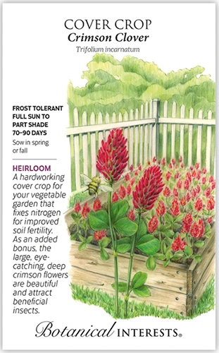 A seed packet of crimson clover with a hand-drawn illustration on the right and text to the left of the frame.
