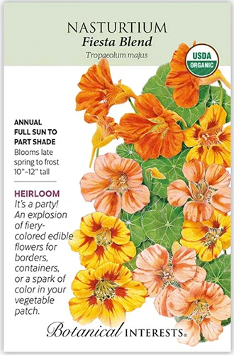 A close up of a packet of &lsquo;Fiery&rsquo; blend nasturtium seeds with text to the left of the frame and a hand-drawn illustration to the right.