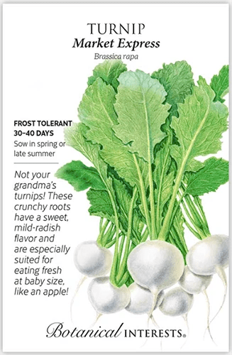 A close up of a packet of &lsquo;Market Express&rsquo; turnip seeds with an illustration on the right of the frame and text on the left.