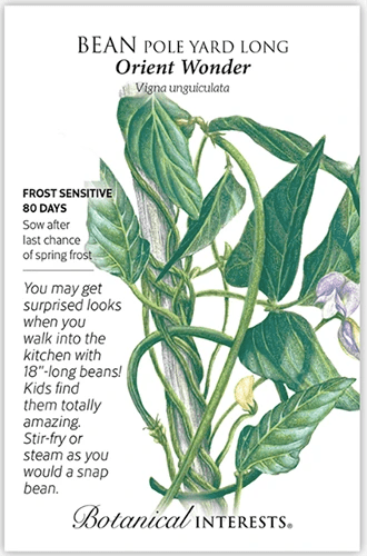 A close up of a seed packet of ‘Orient Wonder’ beans featuring text to the left of the frame and a hand-drawn illustration to the right.