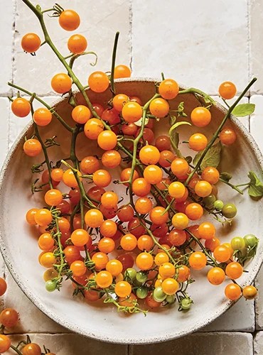 A close up of a bowl filled with Solanum lycopersicum &lsquo;Yellow Currant&rsquo; fruits.