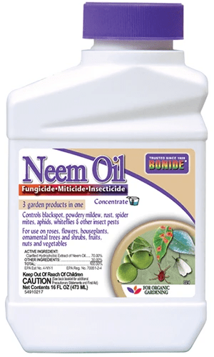 A close up of a bottle of Bonide Neem Oil isolated on a white background.