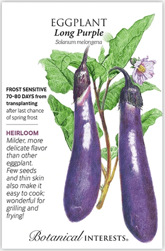 A close up of a packet of &lsquo;Long Purple&rsquo; eggplant seeds with text to the left of the frame and a hand-drawn illustration to the right.