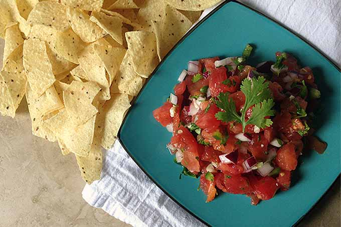 A horizontal image of a homemade batch of pico de gallo on a blue plate.