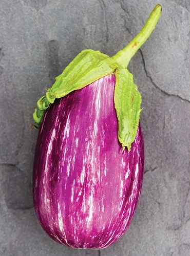 A close up of a single &lsquo;Shooting Stars&rsquo; Italian eggplant set on a gray surface.